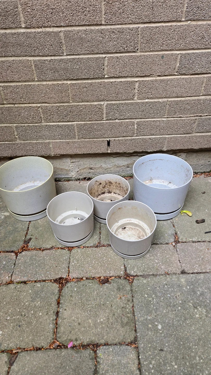 Set of five used plastic plant pots thumbnail