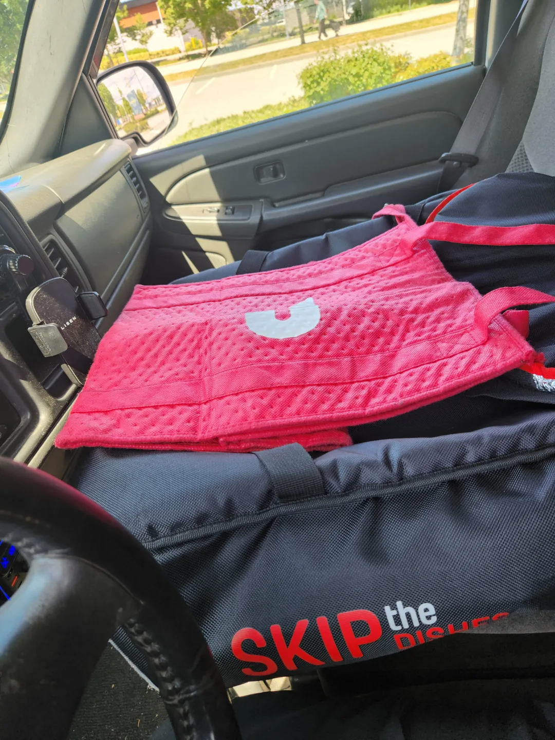 Pizza Bag, Delivery Bag, DoorDash Bag image indicator(5)