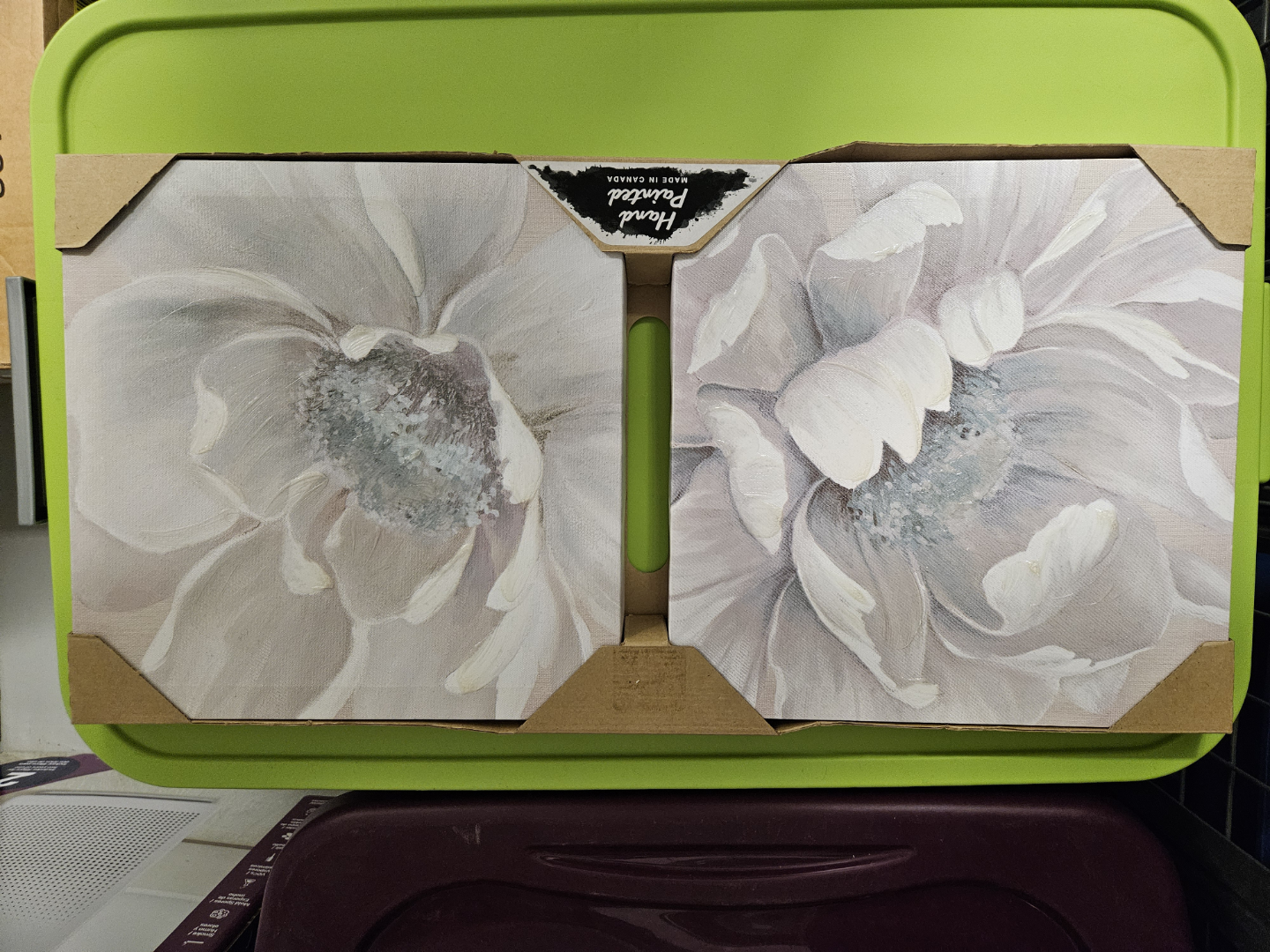 Home Paradise Floral Canvas Wall Art - Set of Two