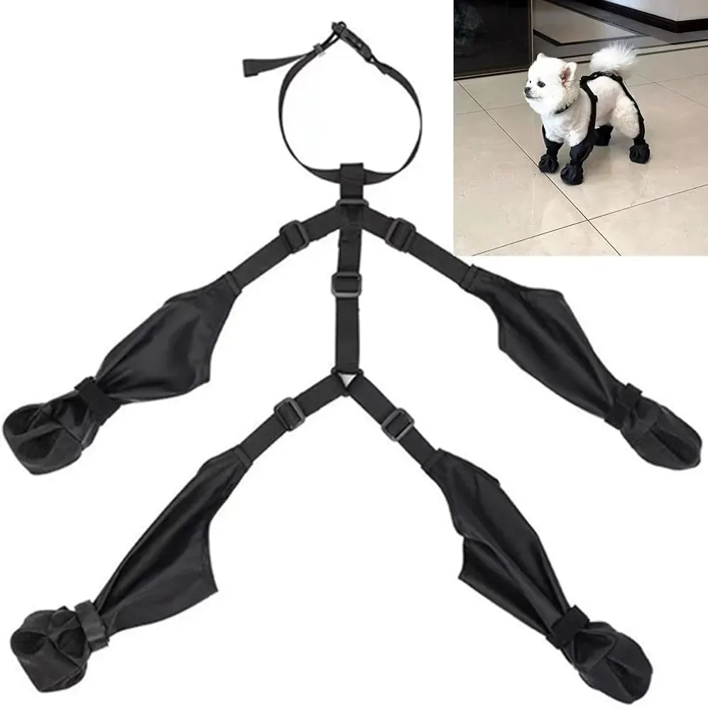 New! Small dog Rain Boots and harness thumbnail