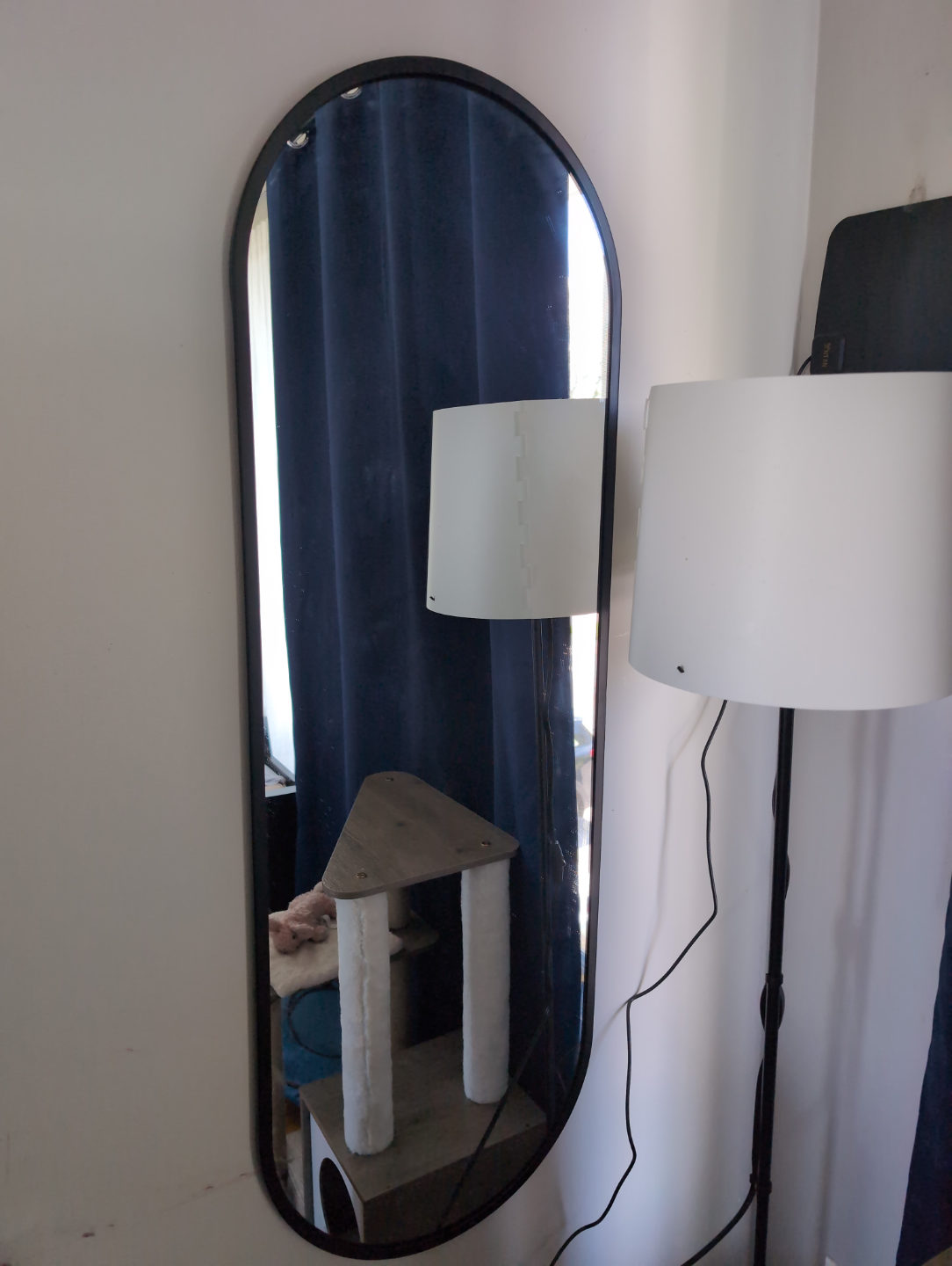 Mirror - full length, matte black frame