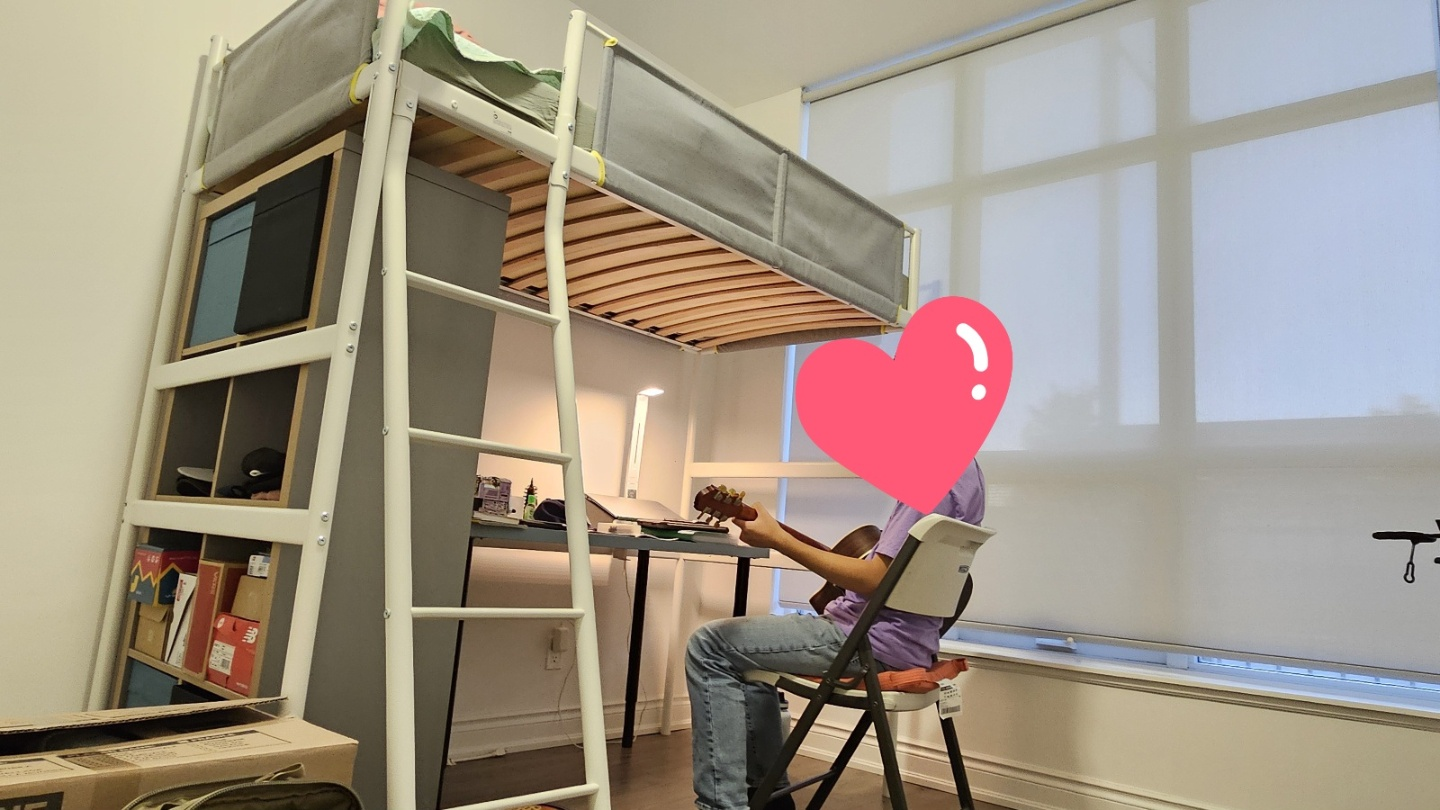 Loft Bed Bunker Bed