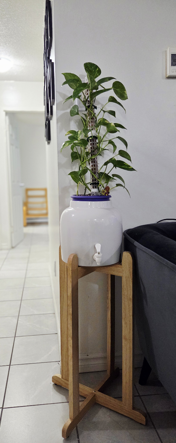 Water dispenser with Stand/ Wooden Plant Stand