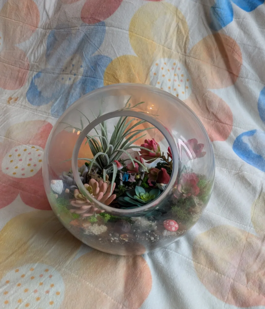 Large Glass Dome Terrarium thumbnail