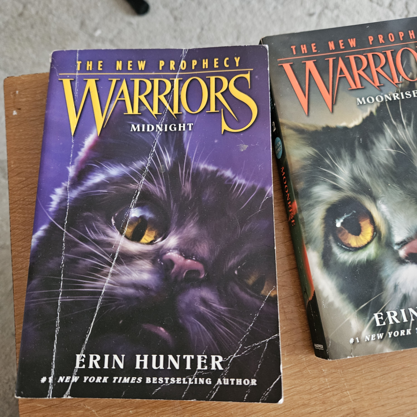 The New Prophecy Warriors Series Books 1-6