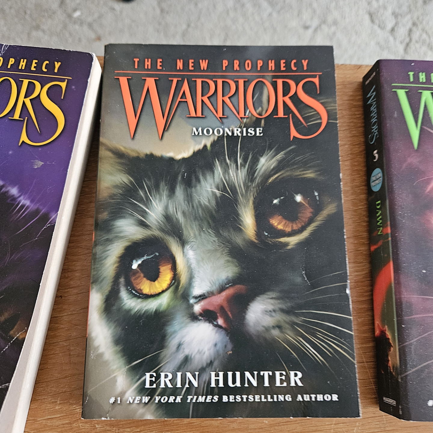 The New Prophecy Warriors Series Books 1-6 - photo 2