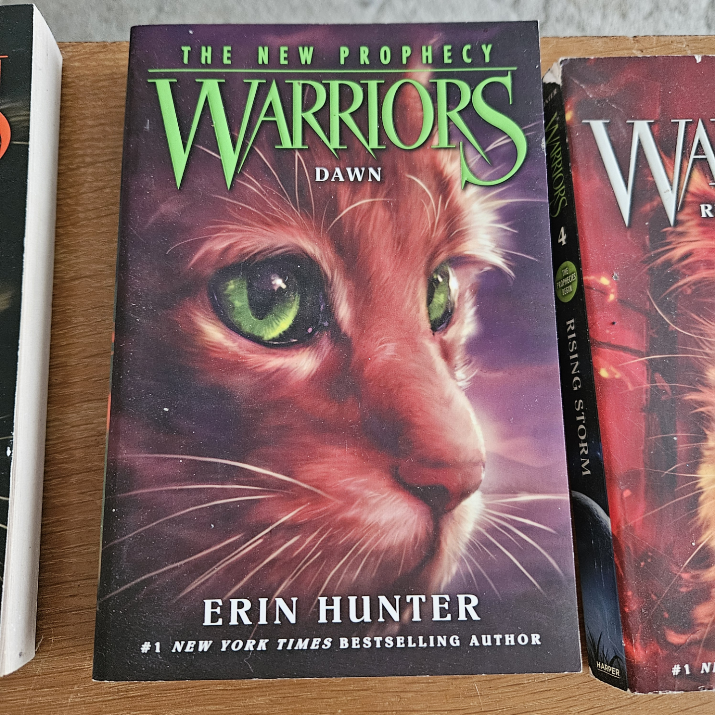 The New Prophecy Warriors Series Books 1-6 - photo 3