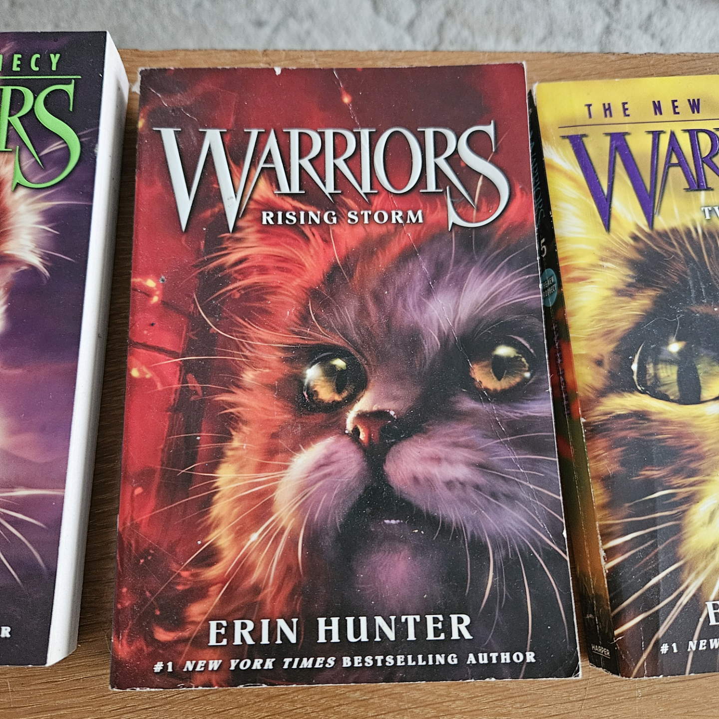 The New Prophecy Warriors Series Books 1-6 - photo 4