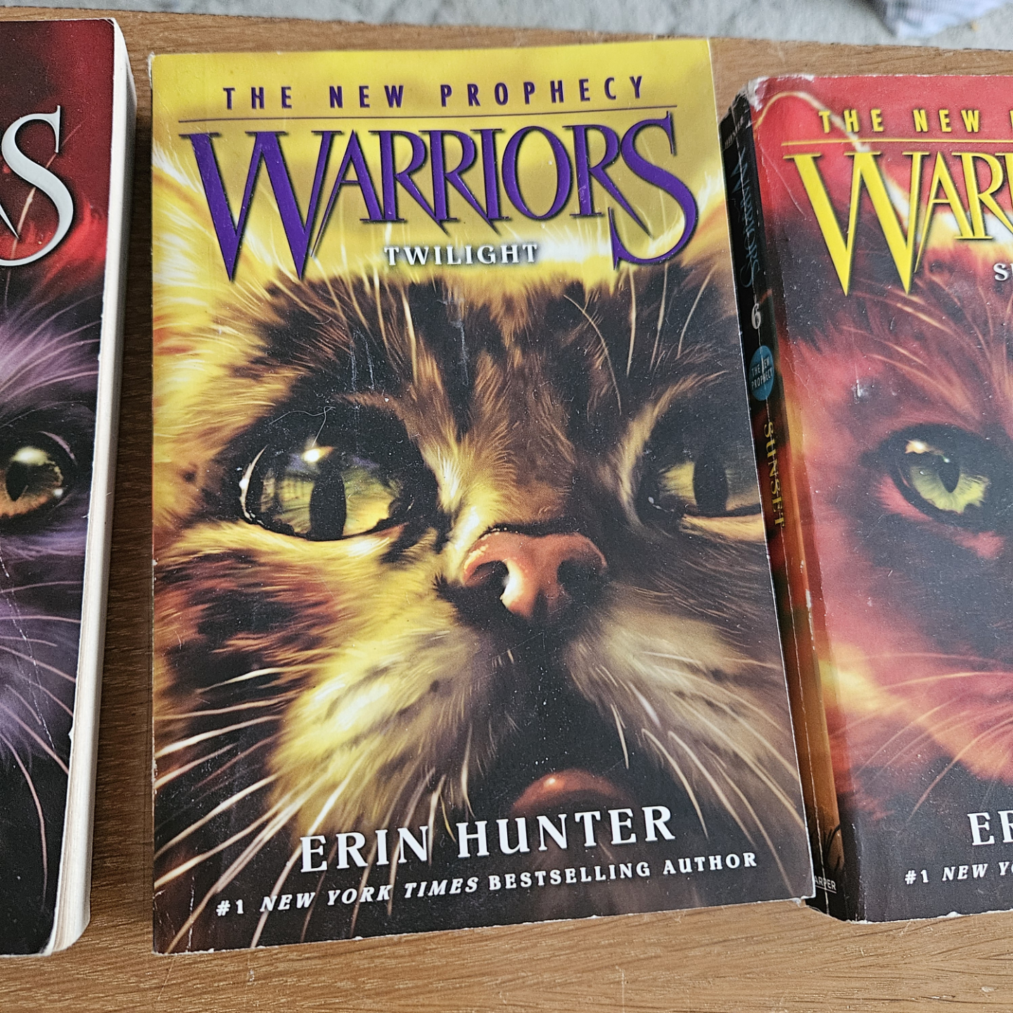 The New Prophecy Warriors Series Books 1-6 - photo 5