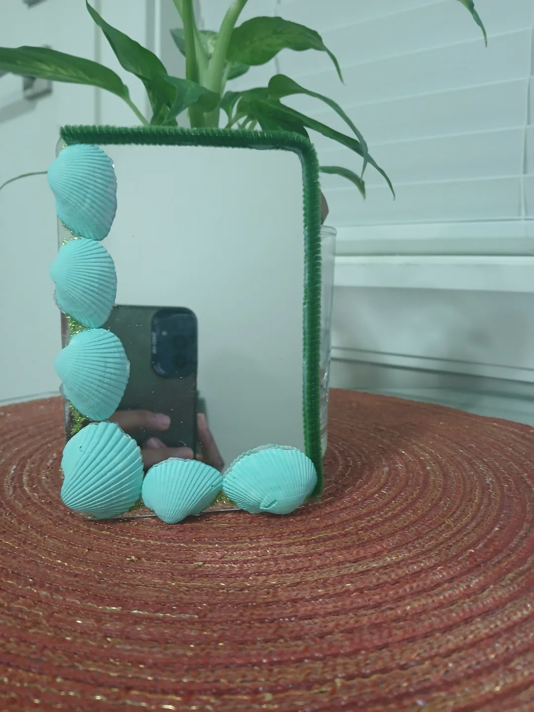 Seashell Framed Mirror image indicator(3)