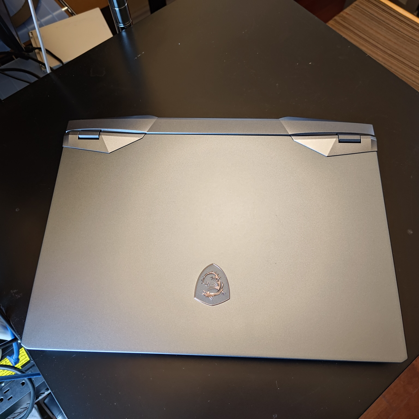 MSI Gaming Laptop Raider GE66 12UGS