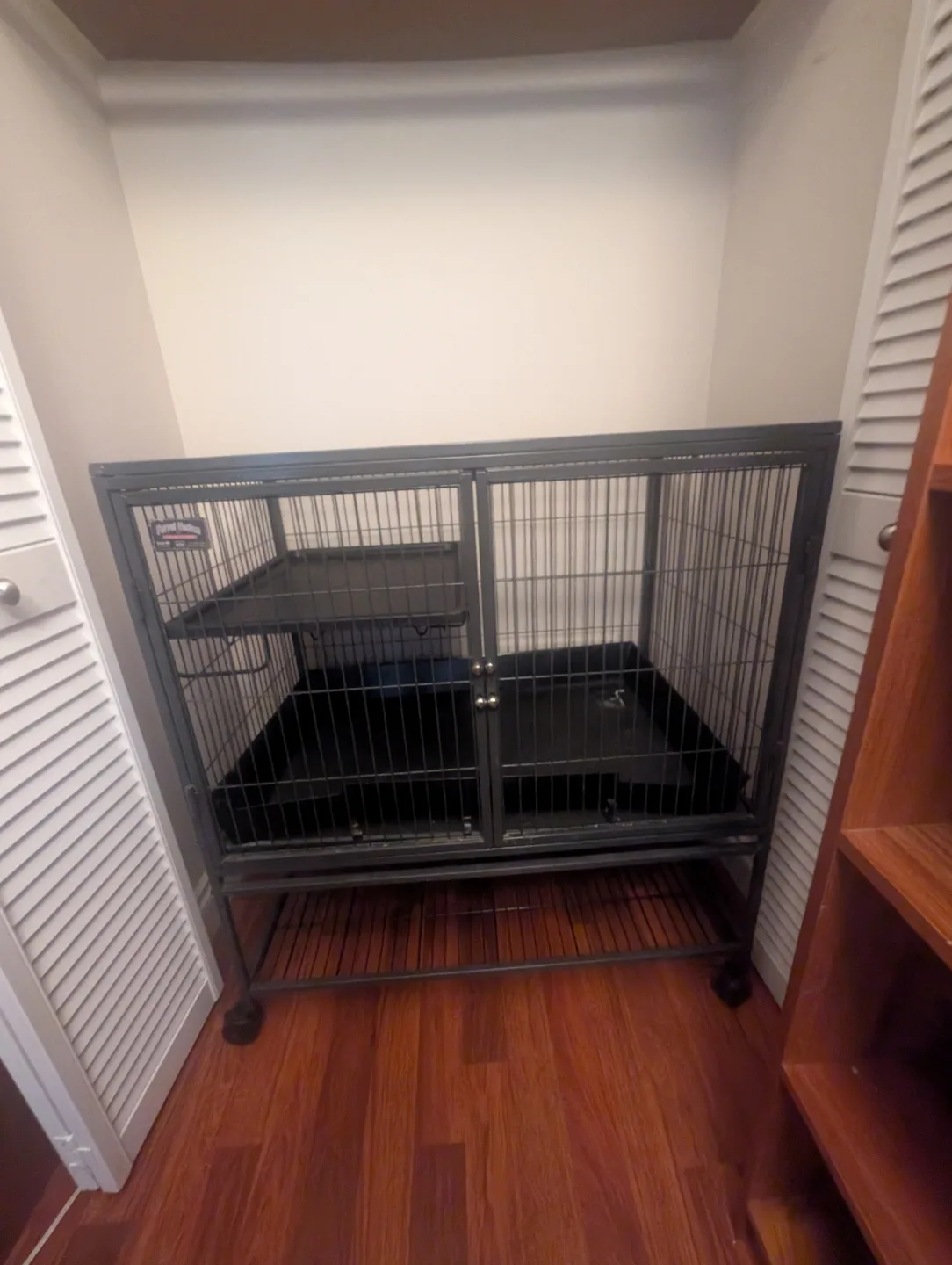 Ferret Nation small pet cage thumbnail