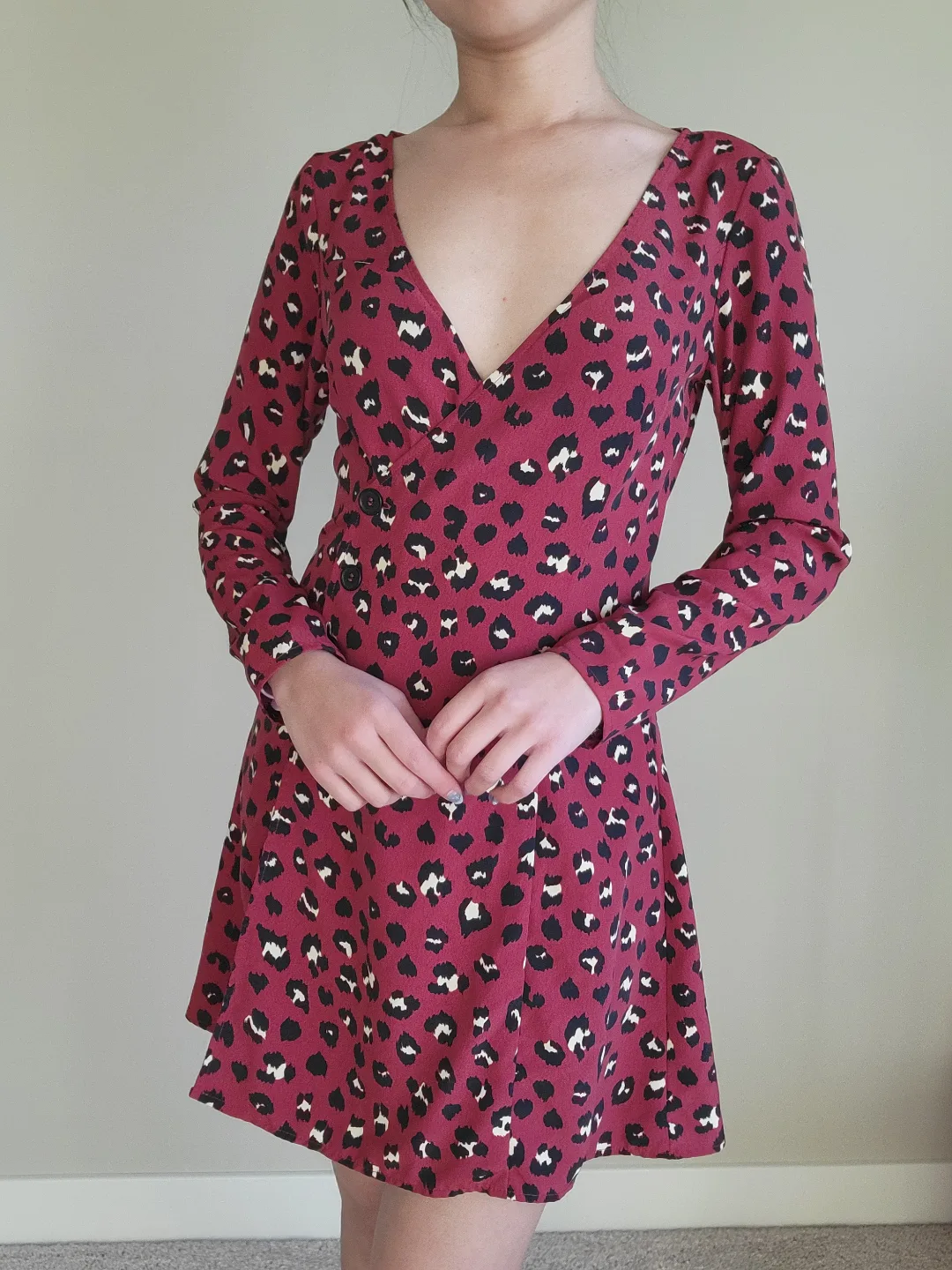 H&M Red Leopard Print Mini Dress thumbnail