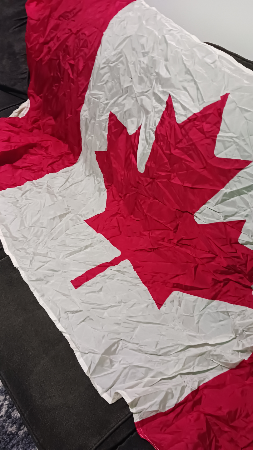 Canadian and Alberta Flags - photo 2
