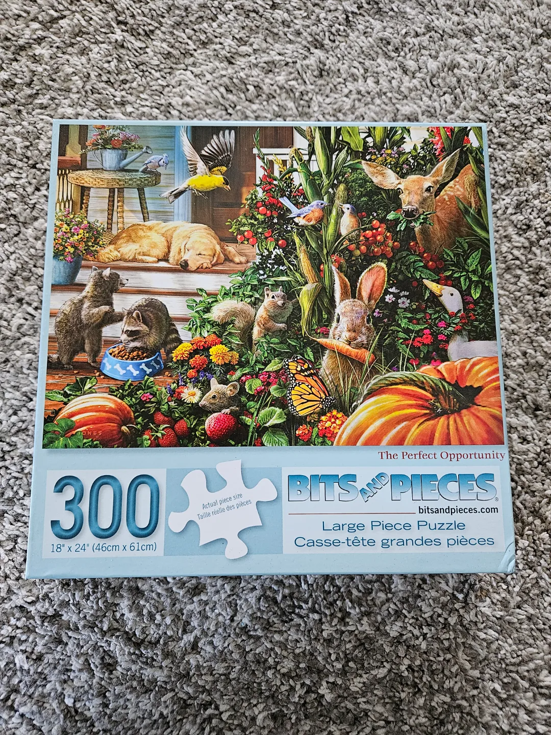 Bits and Pieces 300-Piece Large Piece Puzzle thumbnail