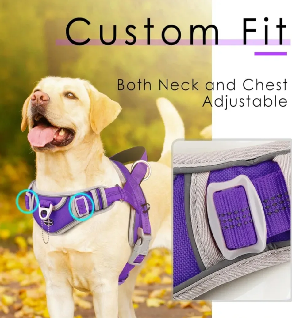 Adventuremore Dog Harness - Purple XS image indicator(6)