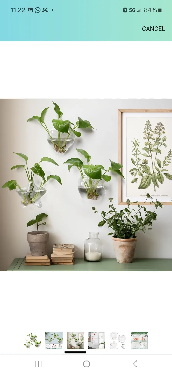 Set of 3 Glass Wall Planters - Heart, Star, and Teardrop Shapes image indicator(3)