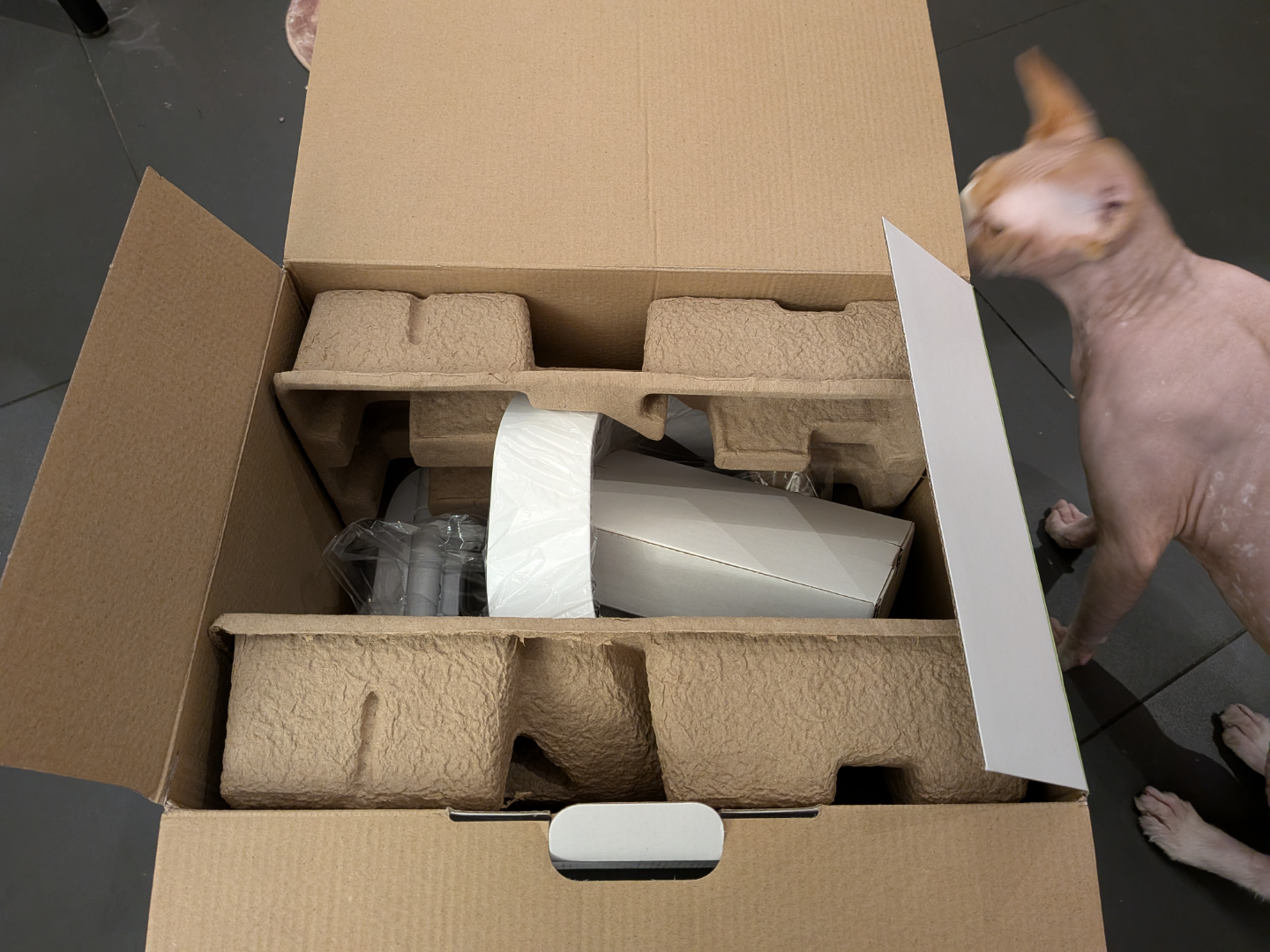 SureFeed Microchip Pet Feeder Connect - photo 5