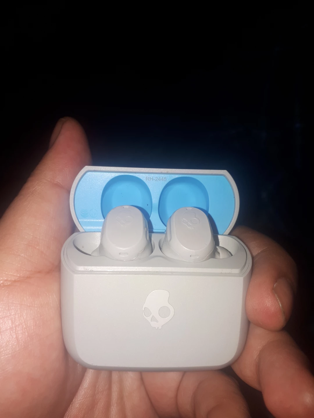 Skullcandy Push Ultra Wireless Earbuds