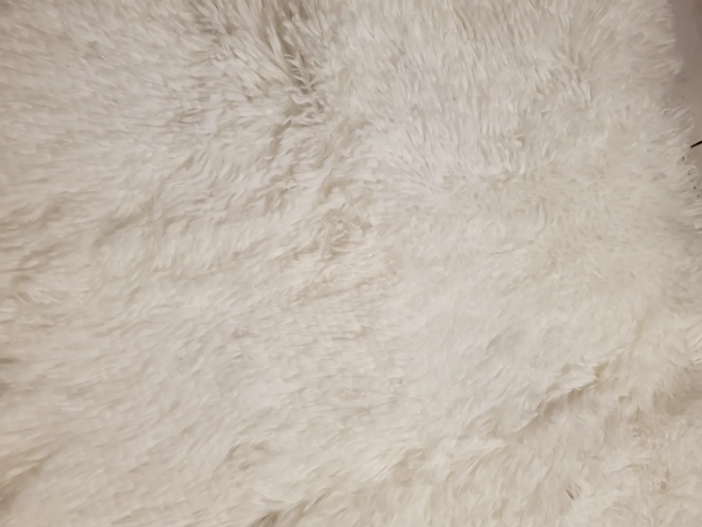 Small fluffy mat image indicator(2)