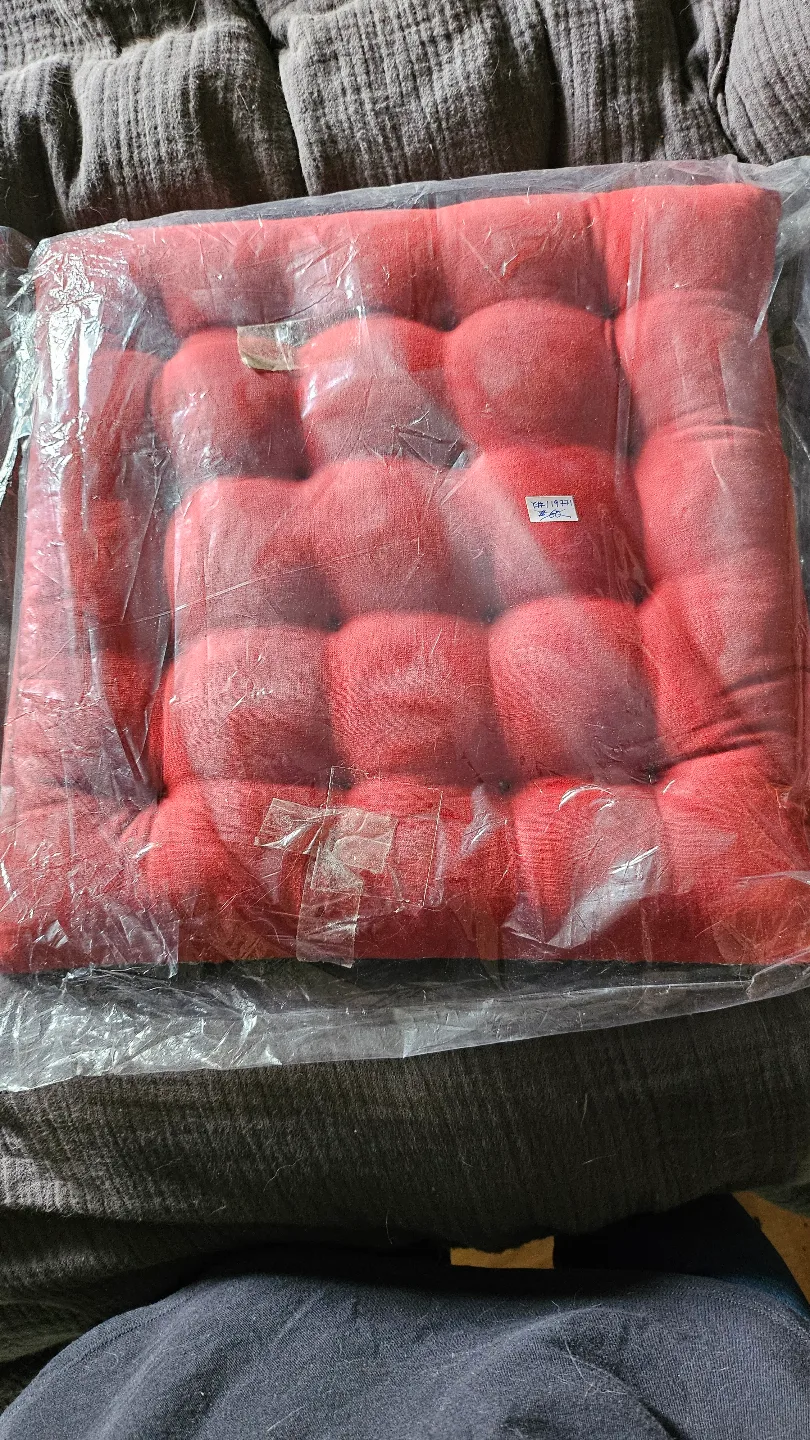 Embroidered Indian Floor Cushion image indicator(4)