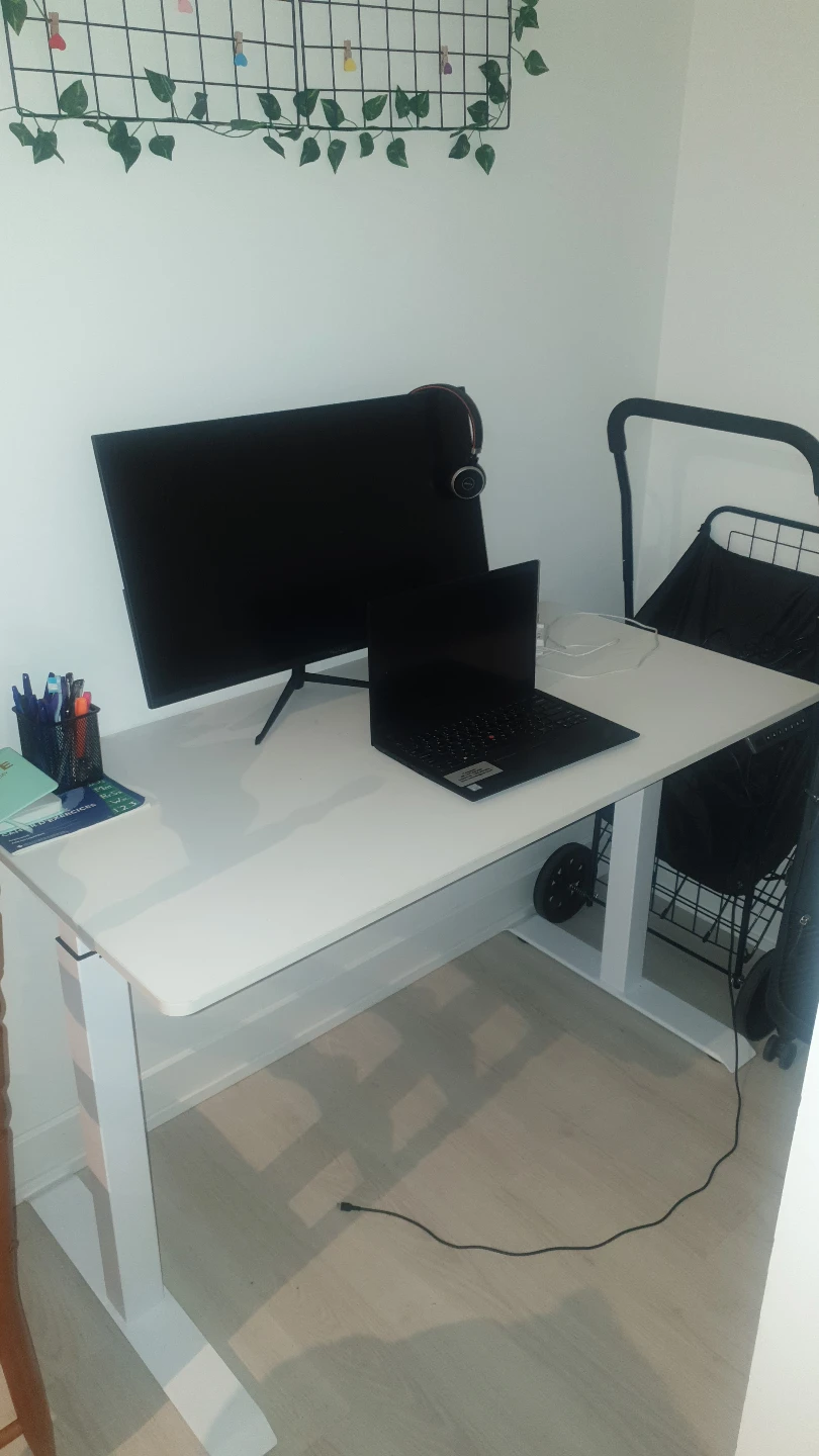 Electric Standing working Desk with Chair