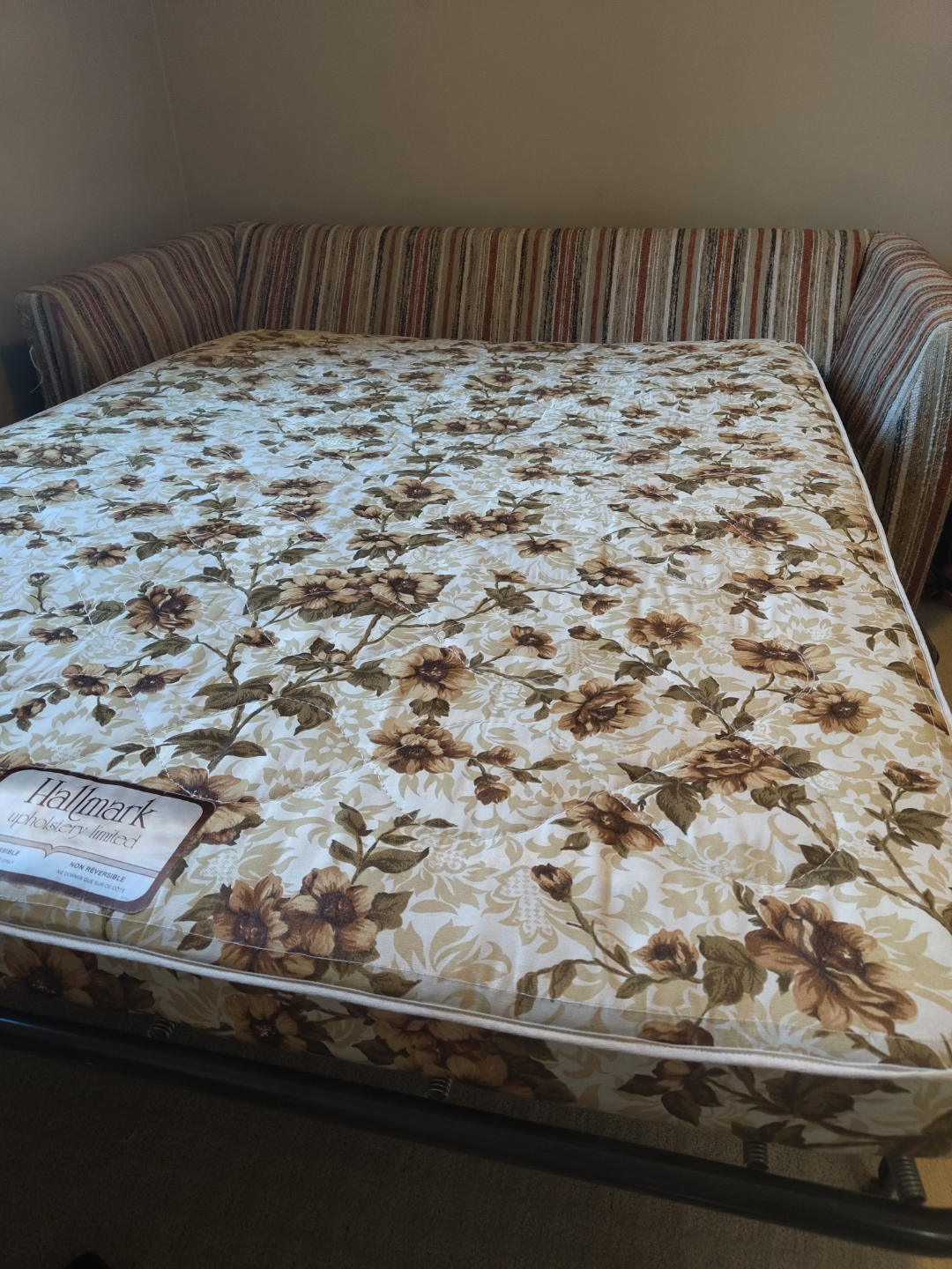 Sleeper Sofa (pull-out bed) - photo 2