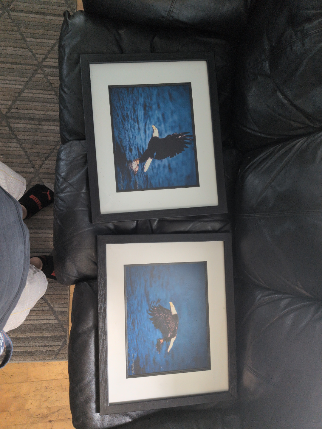 Pair of Framed Bald Eagle Prints - photo 2