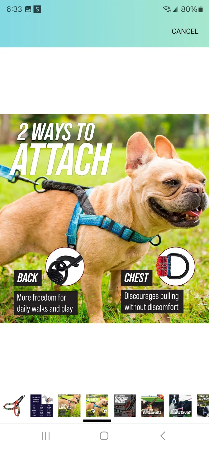 Leashboss Reflective Dog Harness - Small image indicator(5)