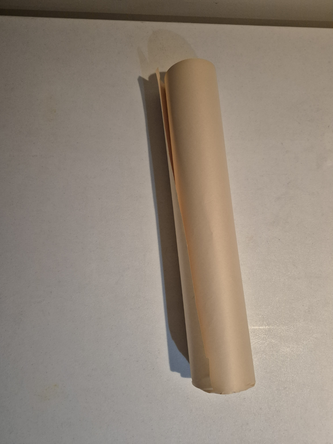 Roll of Light Beige Paper #freecycle
