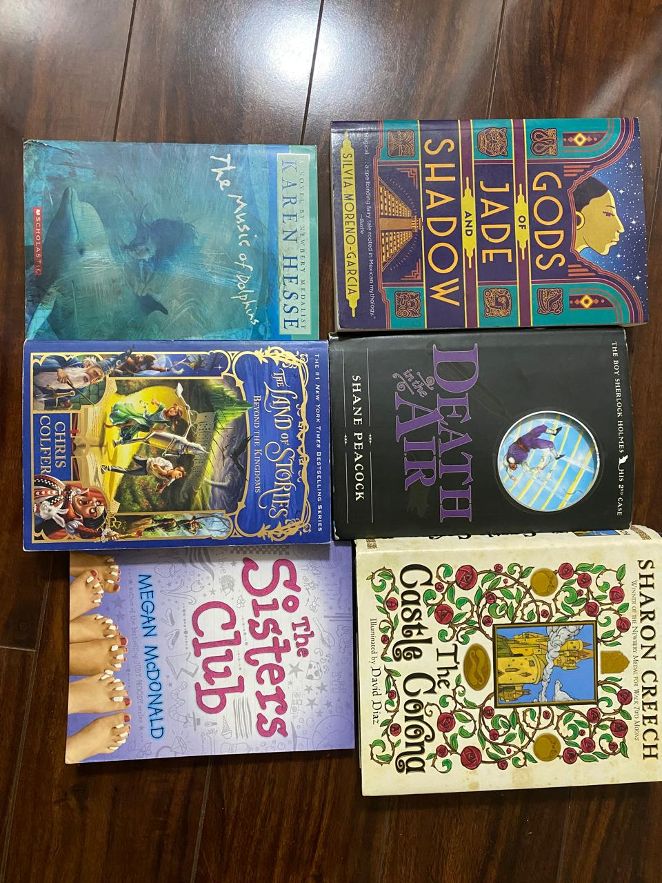 Lot of 6 Young Adult and Children's Books