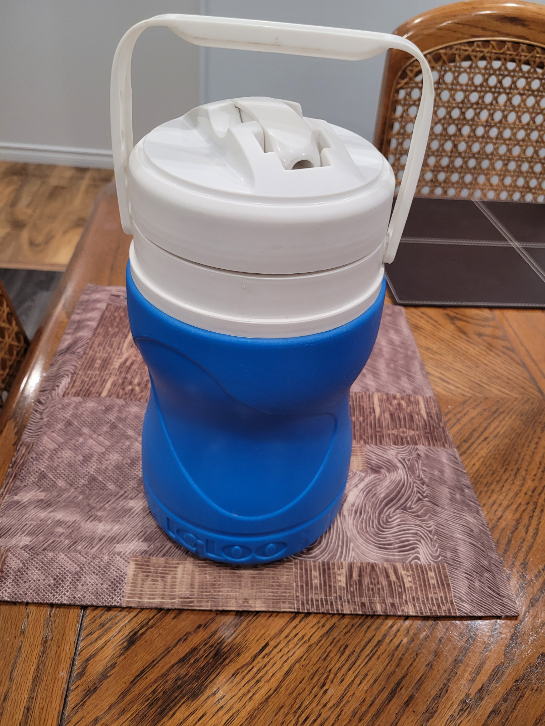 Igloo Blue and White Water Jug