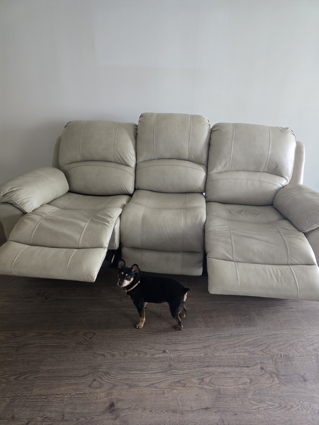 Beige Electric Reclining Leather Sofa - photo 2