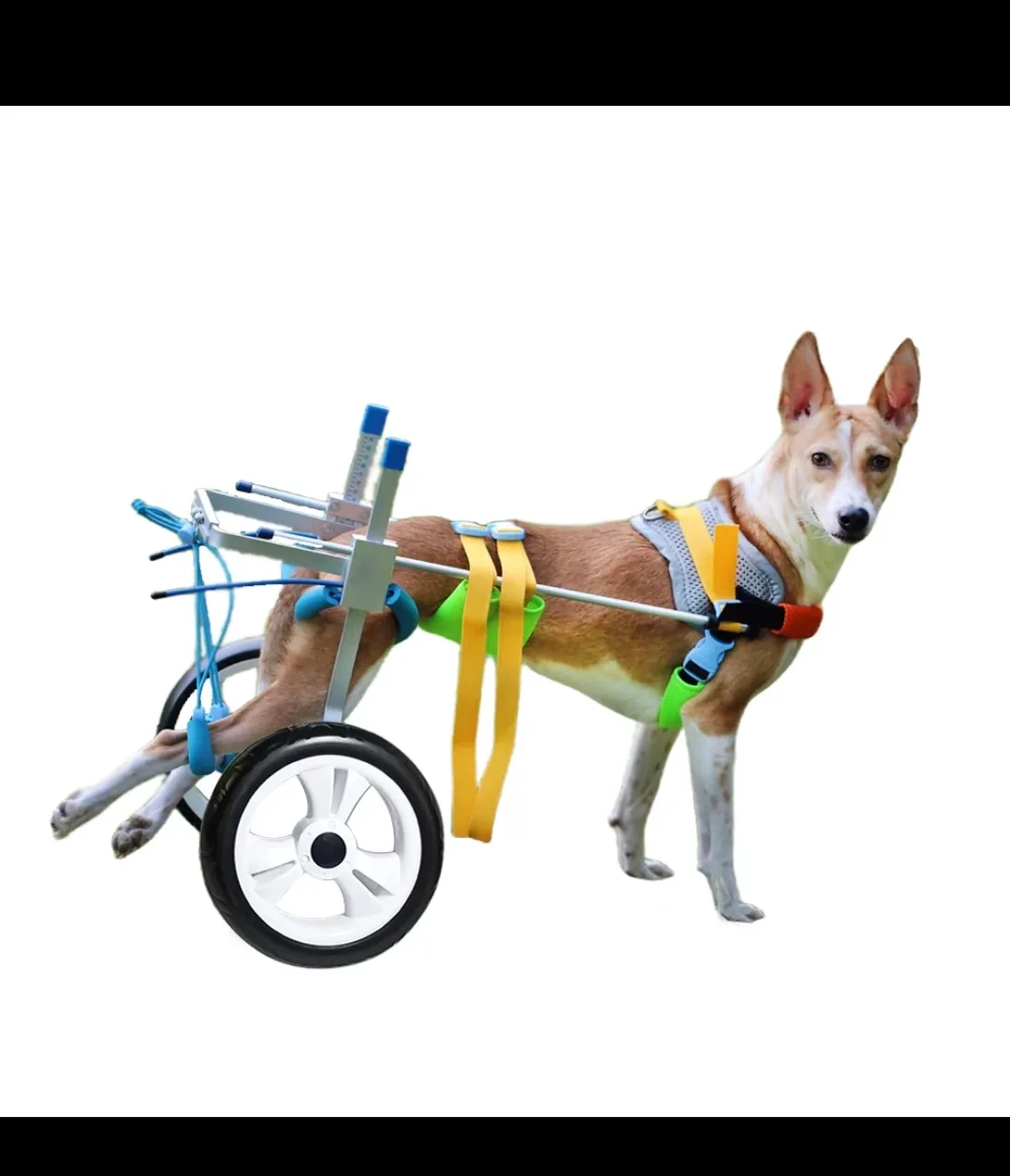 Lispoo mobility wheelchair for dogs image indicator(2)