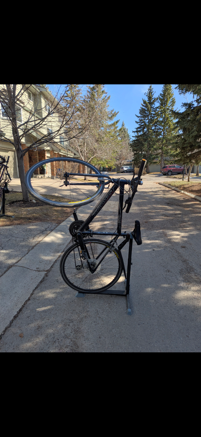 Schwinn Roadbike - photo 2