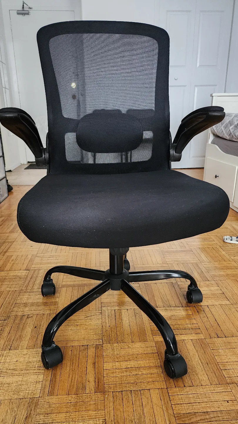 Office Chair - Mesh Back and Padded Seat thumbnail