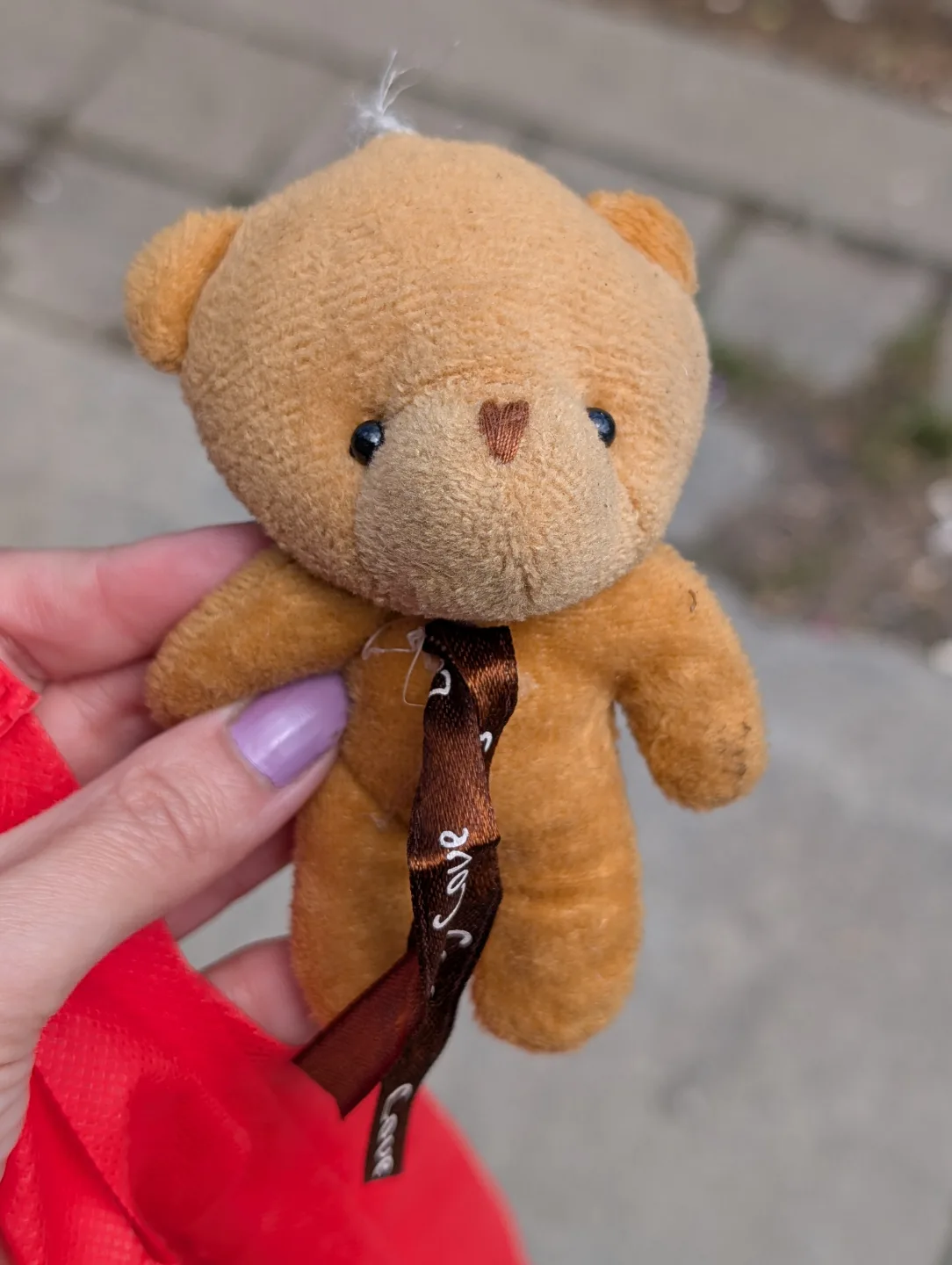 Who lost Teddy Bear Keychain? thumbnail