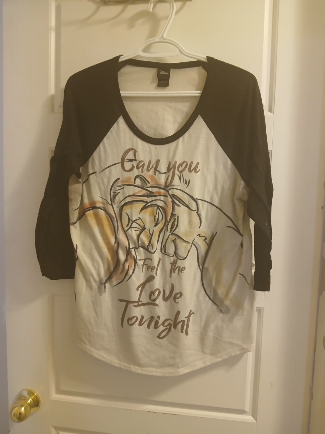 Disney Lion King Can You Feel the Love Tonight Baseball Tee