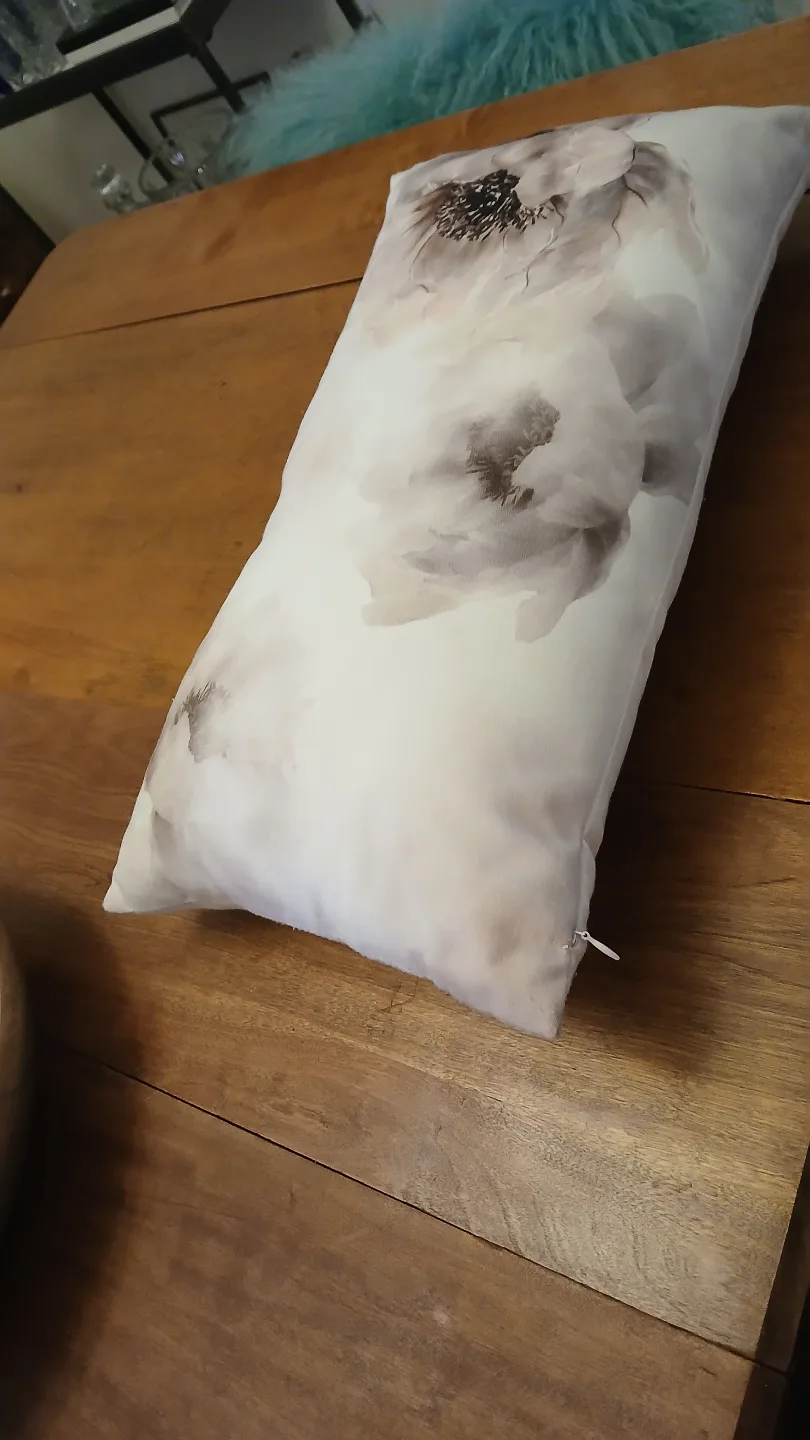 Urban Barn Decorative Pillow image indicator(2)