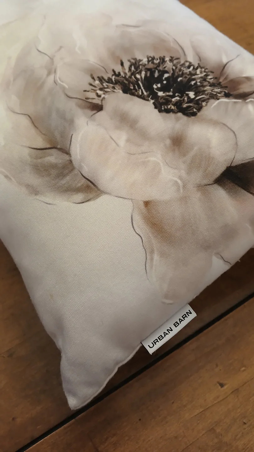 Urban Barn Decorative Pillow image indicator(3)