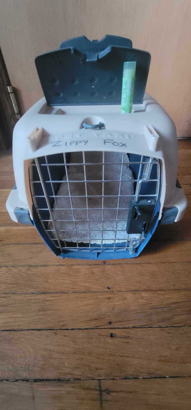 Pet Taxi Pet Carrier