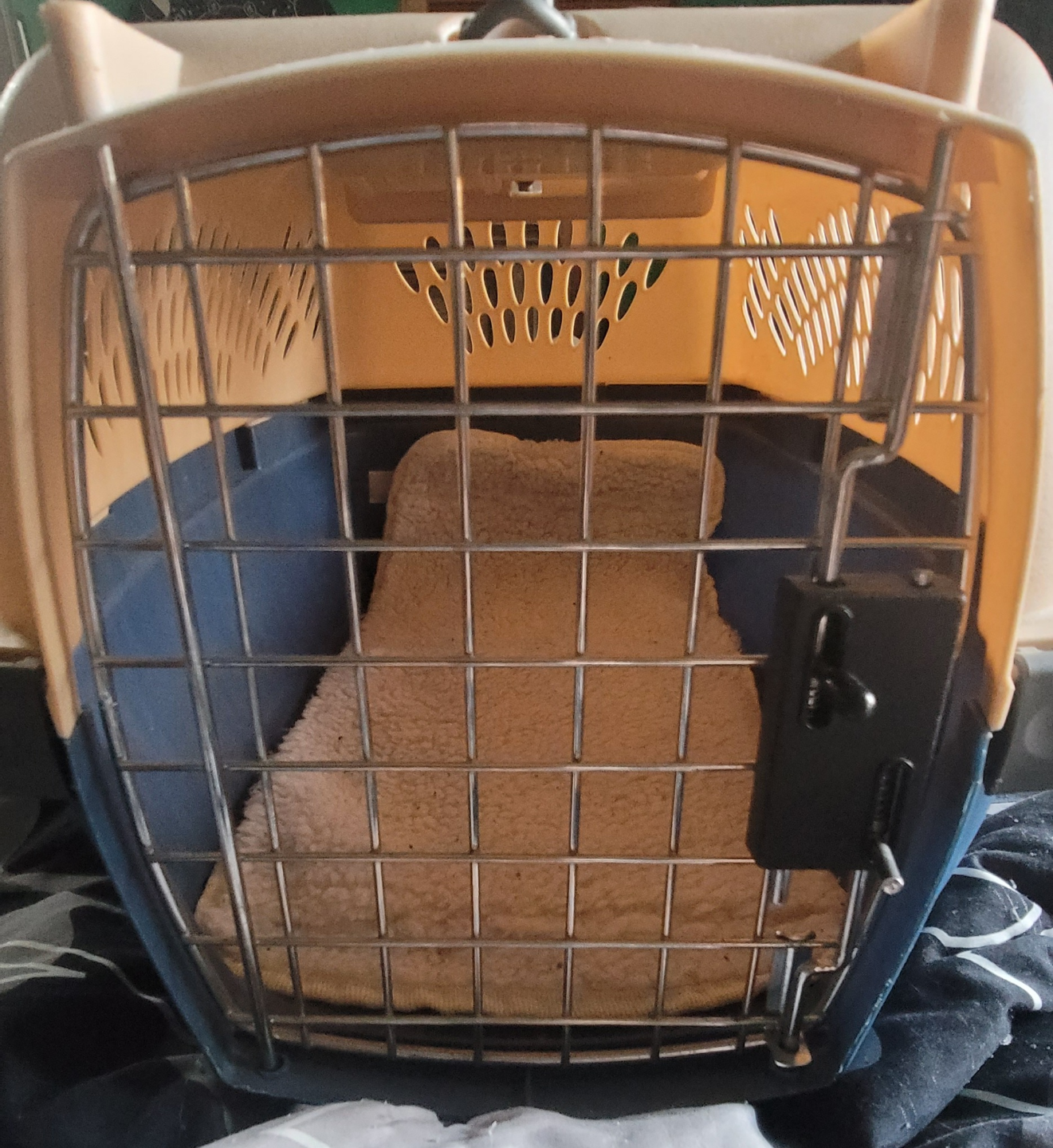 Pet Taxi Pet Carrier - photo 5