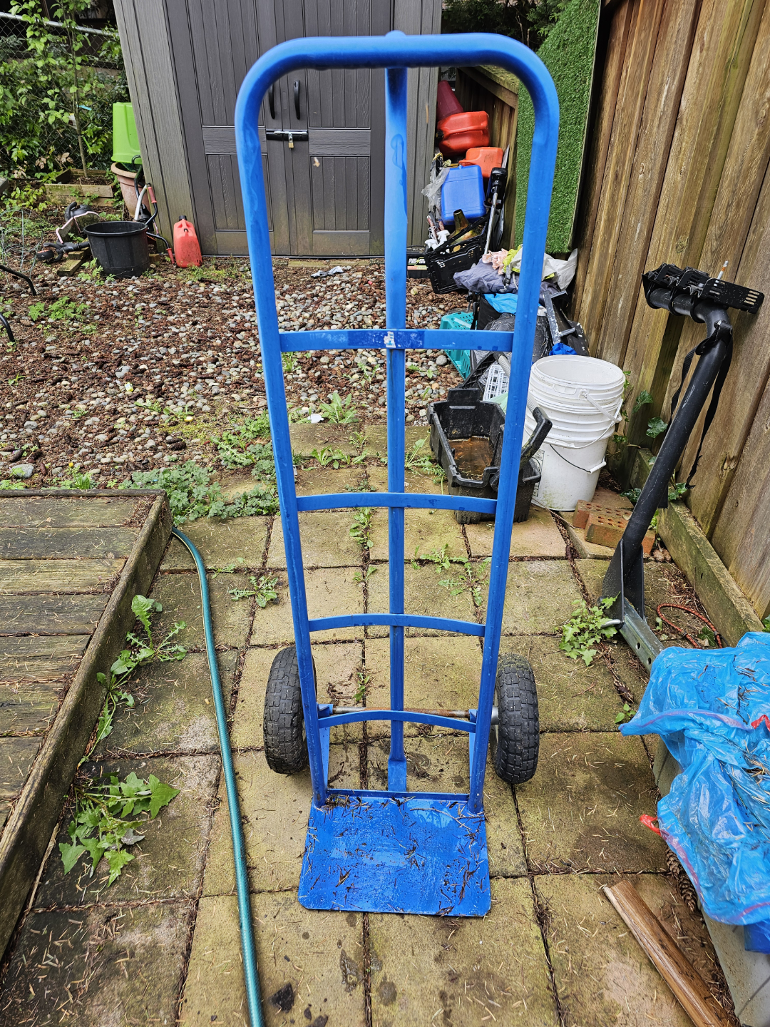 Blue push dolly