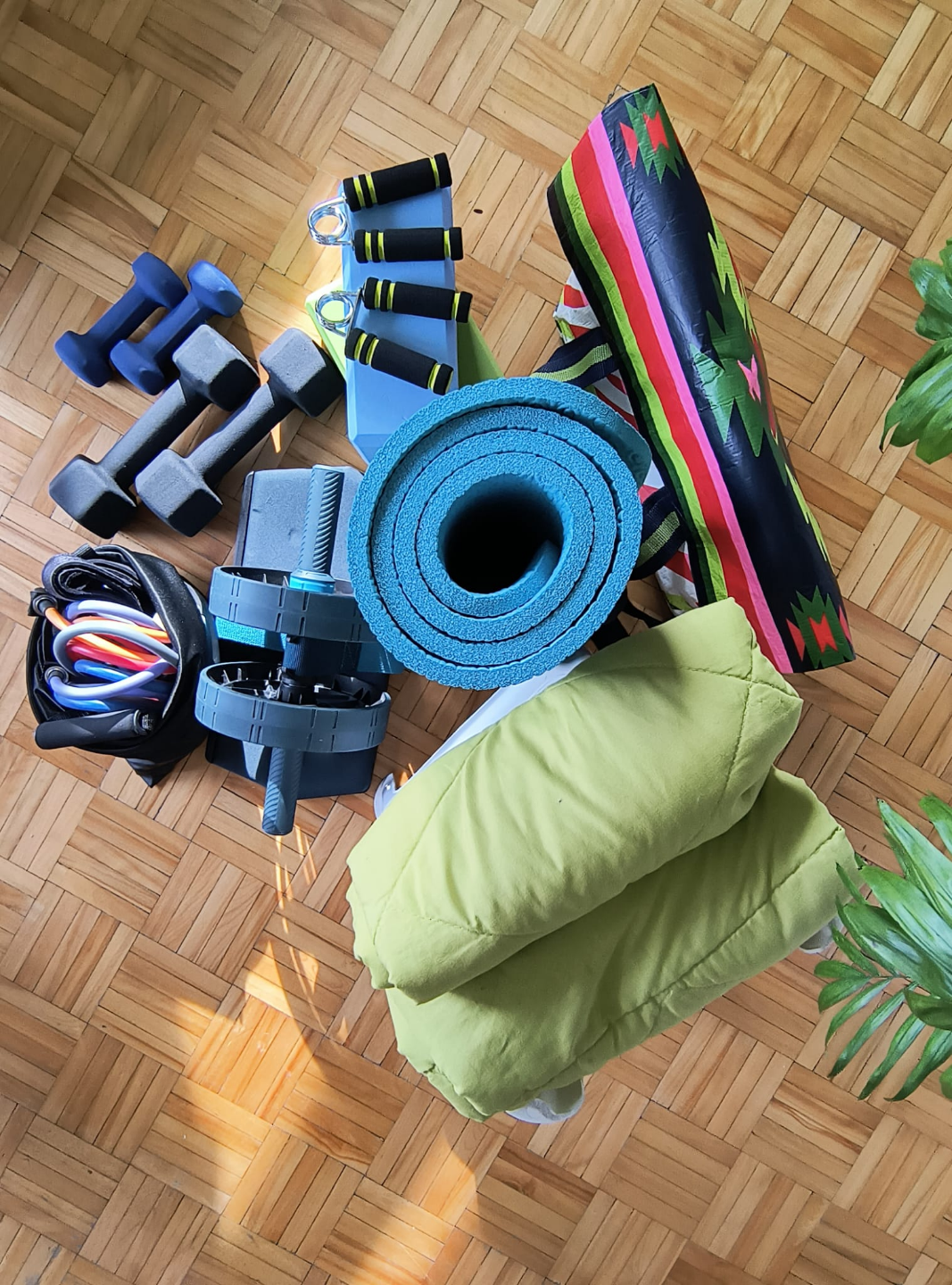 Home Fitness Kit - photo 3