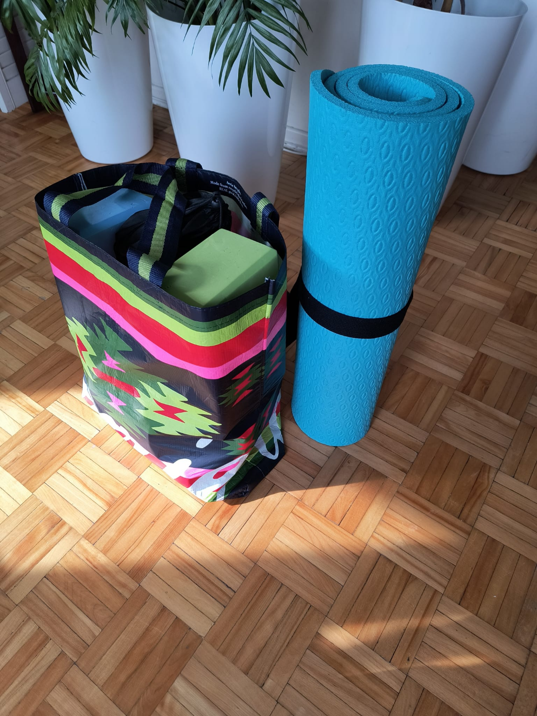 Home Fitness Kit - photo 4