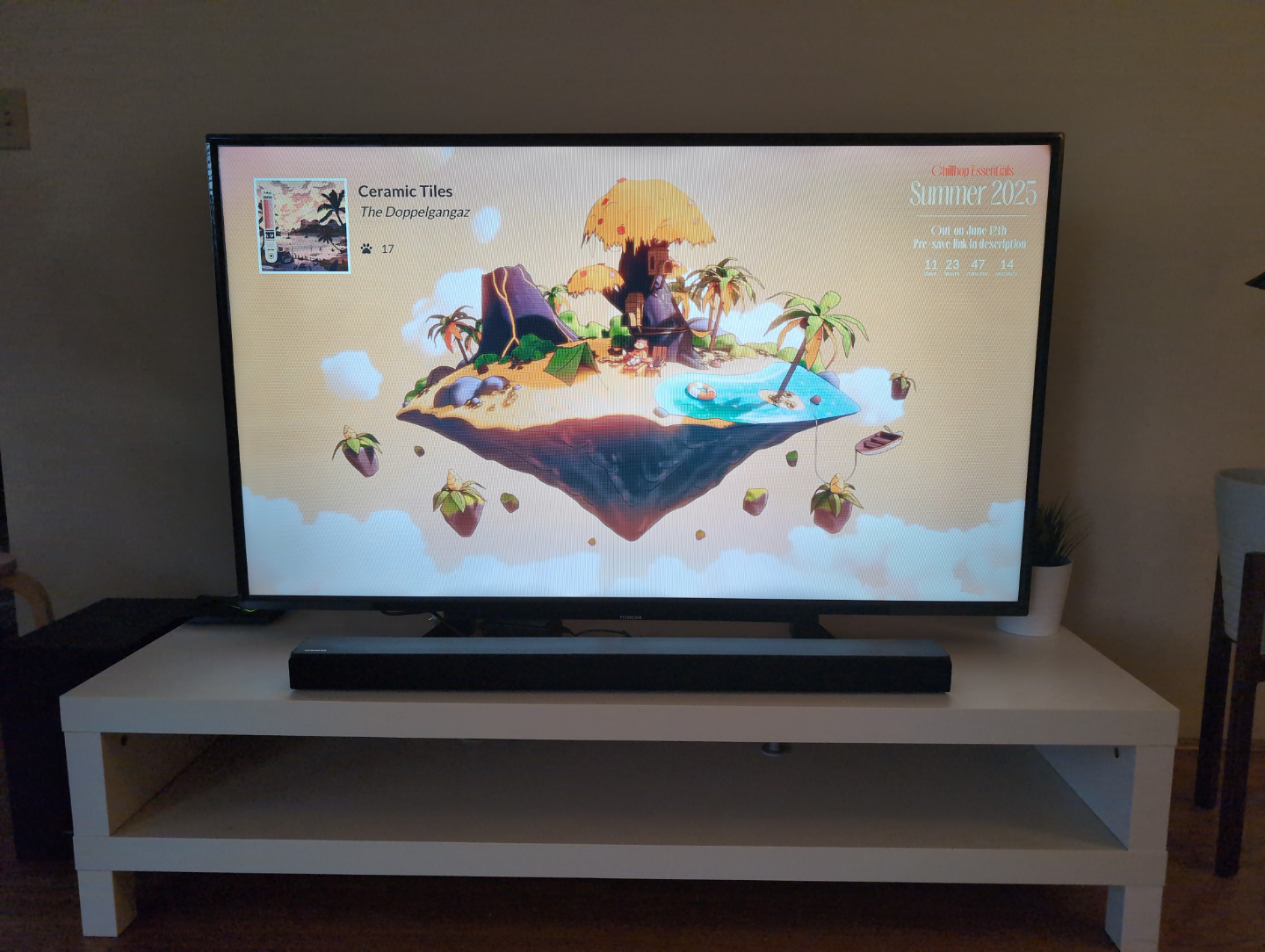Toshiba 55" Flat Screen Television