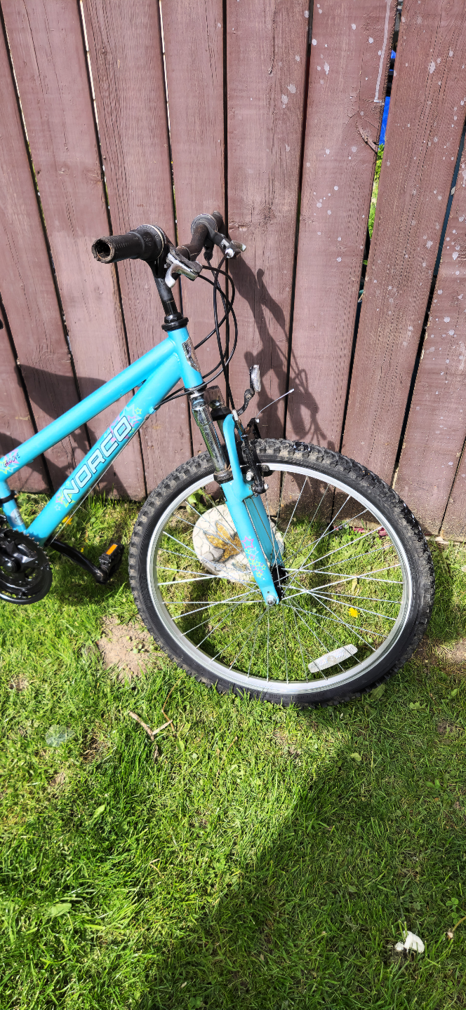 Norco Youth Mountain Bike - photo 2