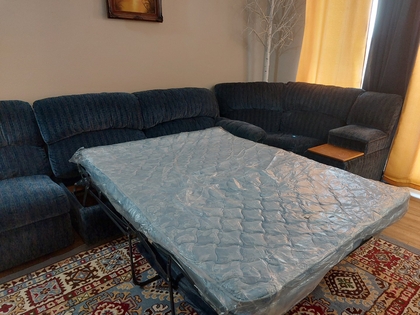 Sectional Sofa with Pull-Out Bed - photo 2
