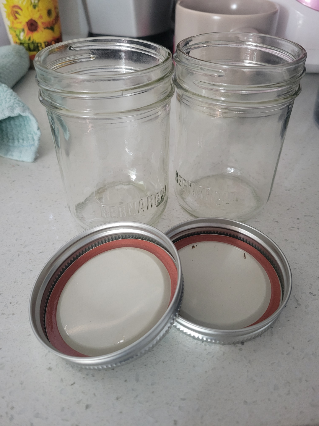 Bernardin Jars with Lids x10