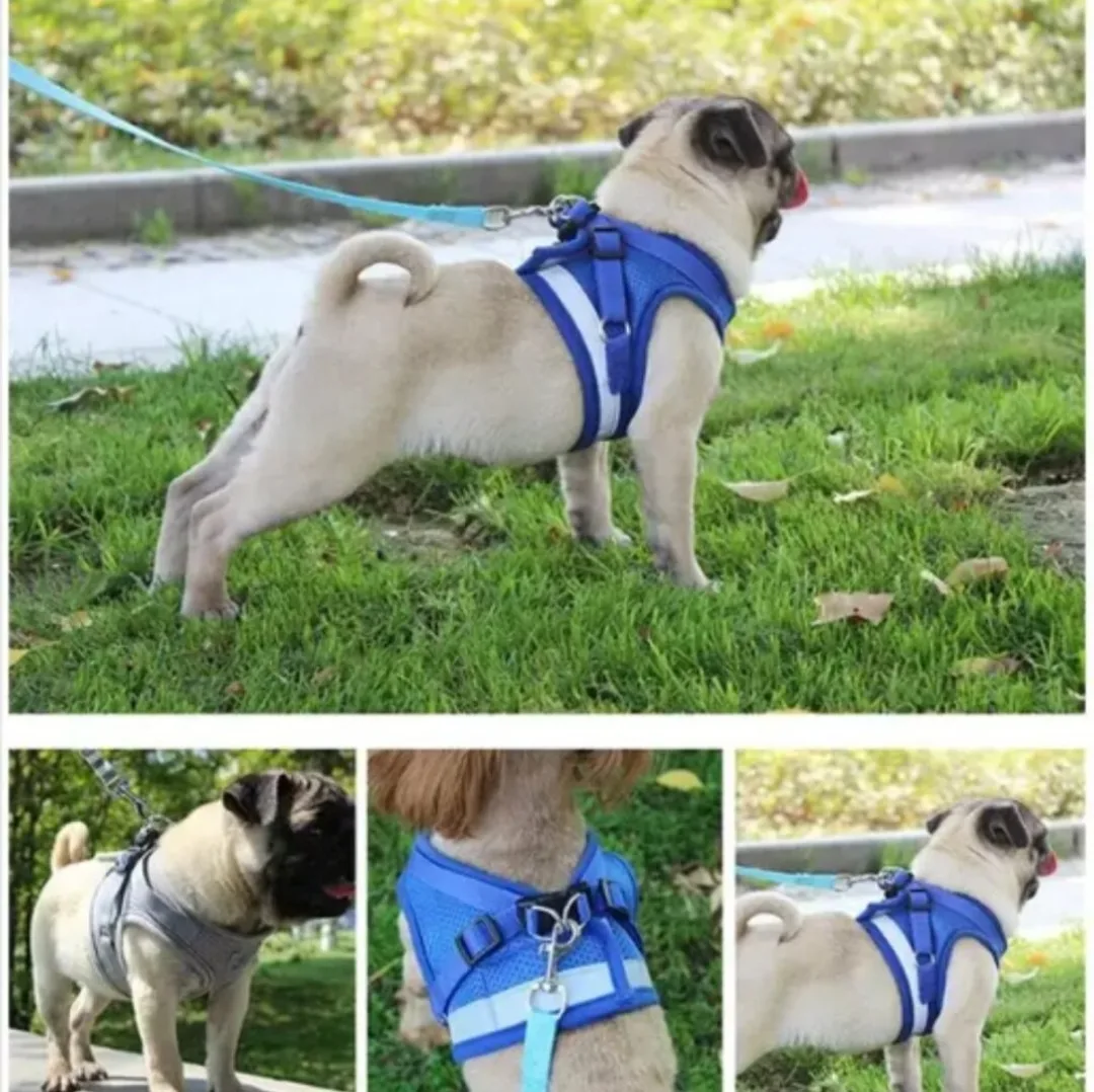 ⭐SALE⭐ Dog/Pet Harness & Leash Set - Multiple Colours image indicator(6)